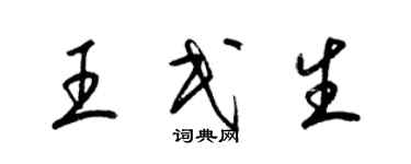 梁錦英王民生草書個性簽名怎么寫