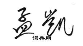 駱恆光孟凱草書個性簽名怎么寫