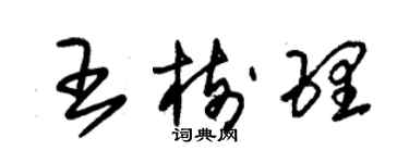 朱錫榮王樹理草書個性簽名怎么寫