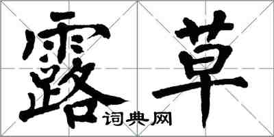 翁闓運露草楷書怎么寫