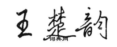 駱恆光王楚韻行書個性簽名怎么寫