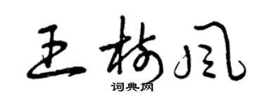 曾慶福王樹風草書個性簽名怎么寫