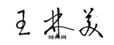 駱恆光王林美草書個性簽名怎么寫