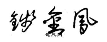 朱錫榮錢金鳳草書個性簽名怎么寫