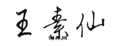 駱恆光王素仙行書個性簽名怎么寫