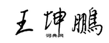 王正良王坤鵬行書個性簽名怎么寫