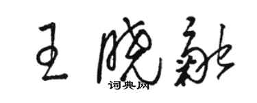 駱恆光王曉融草書個性簽名怎么寫