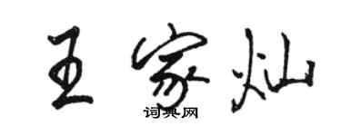 駱恆光王家燦行書個性簽名怎么寫