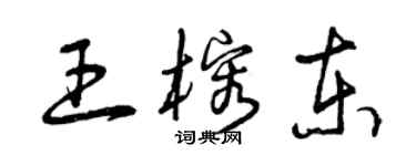 曾慶福王榕東草書個性簽名怎么寫