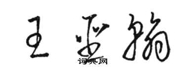 駱恆光王聖翰草書個性簽名怎么寫