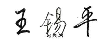 駱恆光王錫平行書個性簽名怎么寫