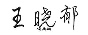 駱恆光王曉郁行書個性簽名怎么寫