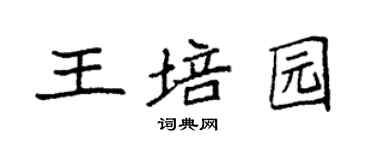 袁強王培園楷書個性簽名怎么寫