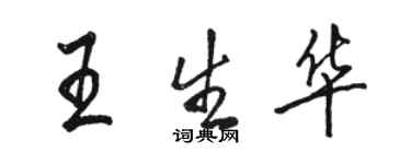 駱恆光王生華行書個性簽名怎么寫