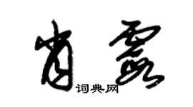 朱錫榮肖霞草書個性簽名怎么寫