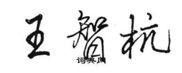 駱恆光王智杭行書個性簽名怎么寫