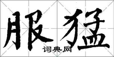 翁闓運服猛楷書怎么寫