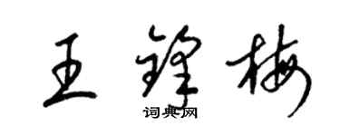 梁錦英王鋒梅草書個性簽名怎么寫