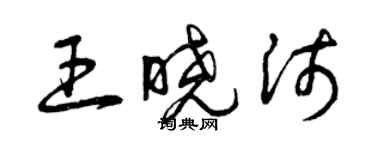 曾慶福王曉沛草書個性簽名怎么寫