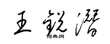 梁錦英王銳潛草書個性簽名怎么寫