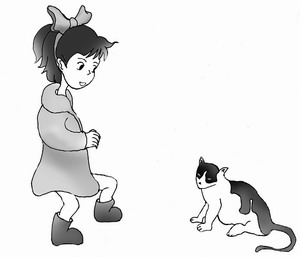 撿貓記_撿貓記作文