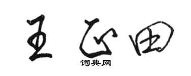 駱恆光王正田行書個性簽名怎么寫