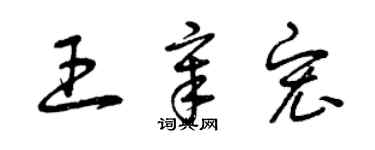 曾慶福王章宏草書個性簽名怎么寫