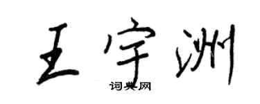 王正良王宇洲行書個性簽名怎么寫