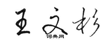 駱恆光王文杉行書個性簽名怎么寫