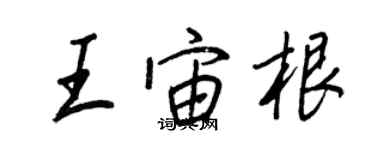 王正良王宙根行書個性簽名怎么寫