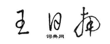 駱恆光王日南草書個性簽名怎么寫