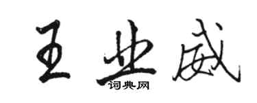 駱恆光王業威行書個性簽名怎么寫