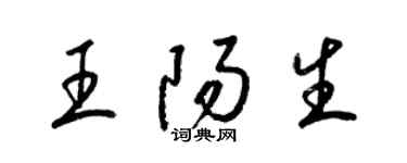 梁錦英王陽生草書個性簽名怎么寫