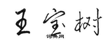 駱恆光王寶樹行書個性簽名怎么寫