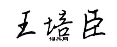 王正良王培臣行書個性簽名怎么寫