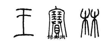 陳墨王賽林篆書個性簽名怎么寫