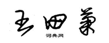 朱錫榮王田菊草書個性簽名怎么寫