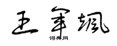 曾慶福王軍颯草書個性簽名怎么寫
