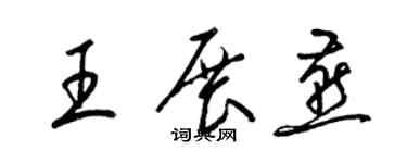 梁錦英王展燕草書個性簽名怎么寫