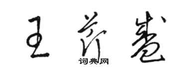 駱恆光王芹盛草書個性簽名怎么寫