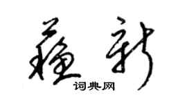 梁錦英蘇新草書個性簽名怎么寫