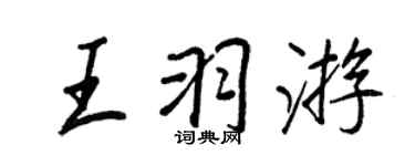 王正良王羽遊行書個性簽名怎么寫