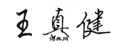 駱恆光王真健行書個性簽名怎么寫