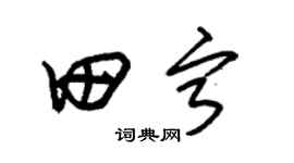 朱錫榮田寧草書個性簽名怎么寫