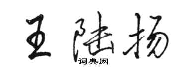 駱恆光王陸揚行書個性簽名怎么寫