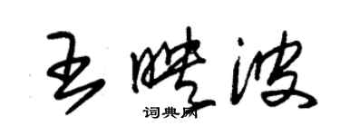 朱錫榮王映波草書個性簽名怎么寫