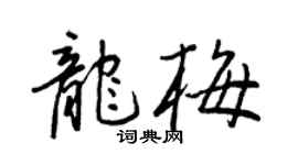 王正良龍梅行書個性簽名怎么寫