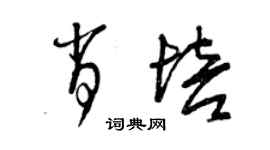 曾慶福肖培草書個性簽名怎么寫