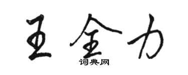 駱恆光王全力行書個性簽名怎么寫