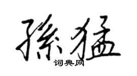 王正良孫猛行書個性簽名怎么寫